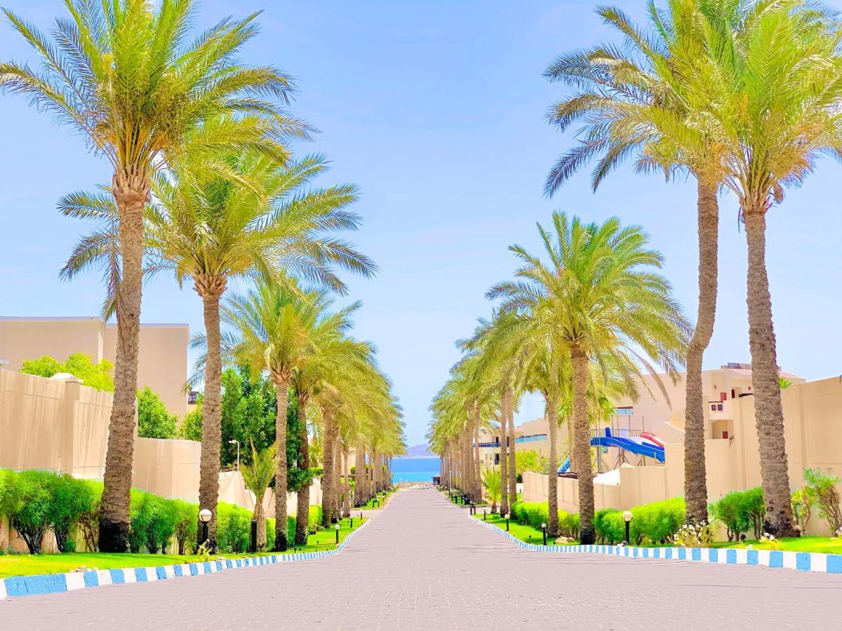 Ivy Cyrene Island Aqua Park Resort (Adults Only) Sharm El-Sheikh Exterior foto